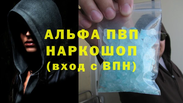 крисы Алзамай