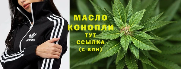 крисы Алзамай